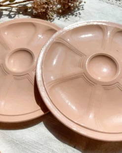 6 assiettes à huîtres en porcelaine rose digoin sarreguemines