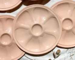 6 assiettes à huîtres en porcelaine rose digoin sarreguemines