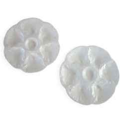 2 assiettes à huîtres Gien