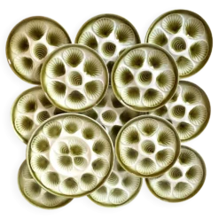 Assiettes à huîtres Moulin des Loups et plat assorti -1970