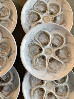 Assiettes à huîtres ou coquillages Saint Amand