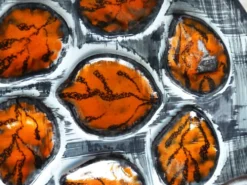 Assiettes à huîtres peintes mains - Assiettes de Pornic France