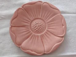 Assiettes Jacques Molin et Salins les Bains
