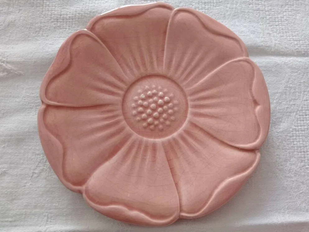 Assiettes Jacques Molin et Salins les Bains