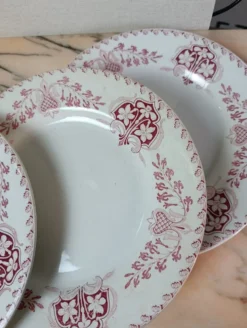 Assiettes plate Lunéville modèle Sébastopol Aux Lions de Faïence