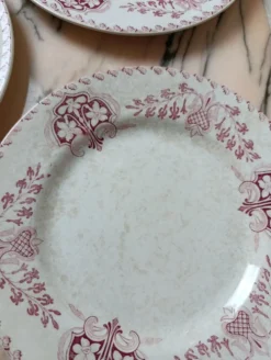 Assiettes plate Lunéville modèle Sébastopol Aux Lions de Faïence