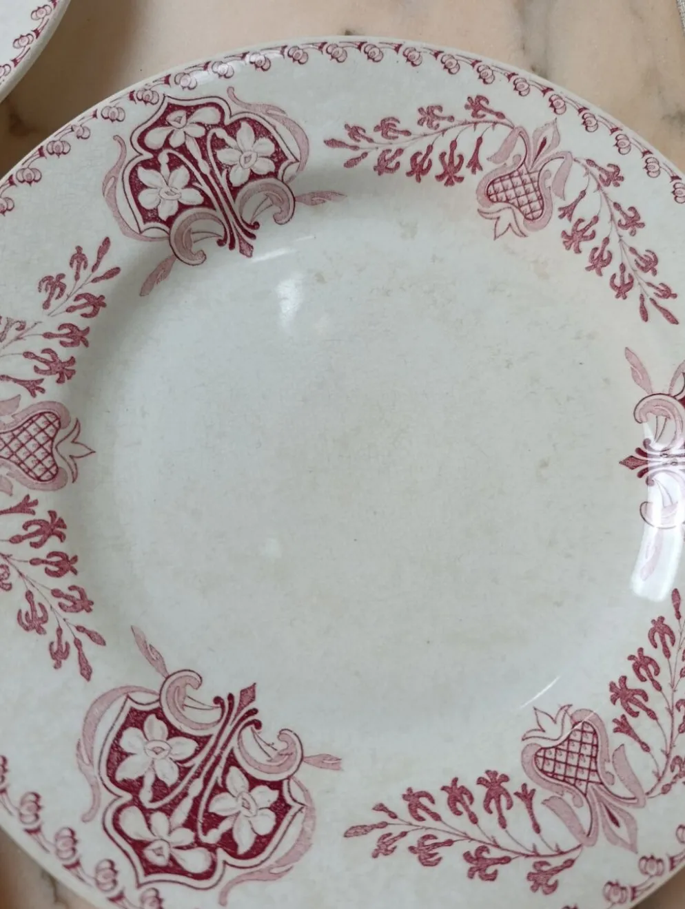 Assiettes plate Lunéville modèle Sébastopol Aux Lions de Faïence