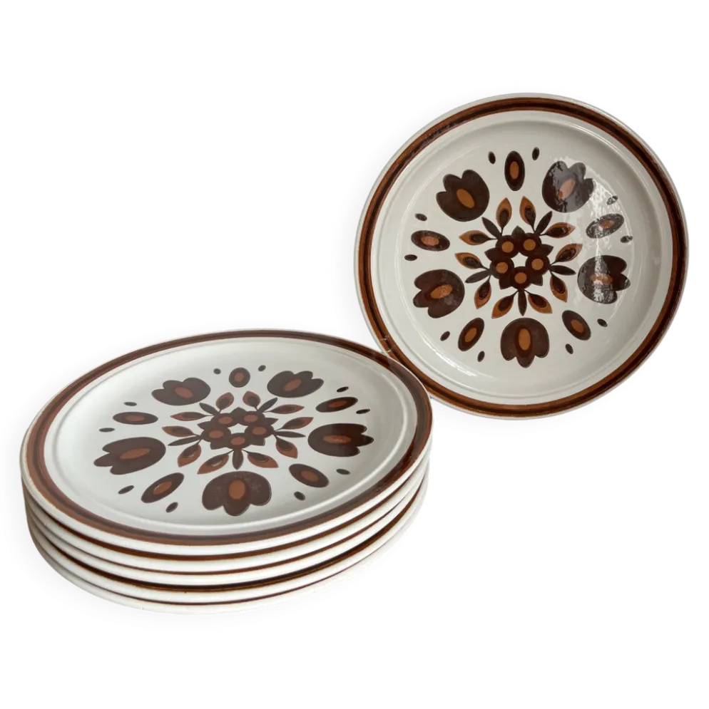 6 assiettes plates