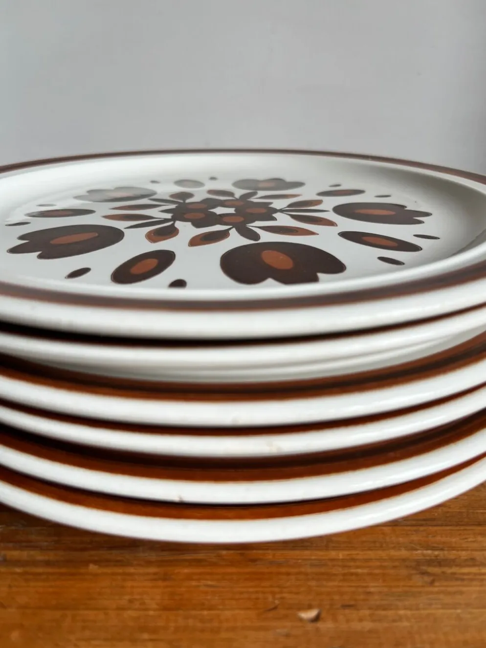 6 assiettes plates