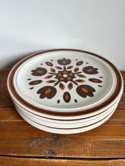 6 assiettes plates