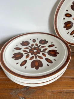 6 assiettes plates