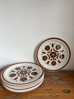 6 assiettes plates