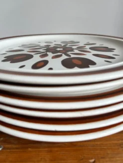 6 assiettes plates