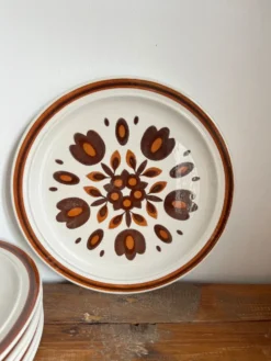 6 assiettes plates