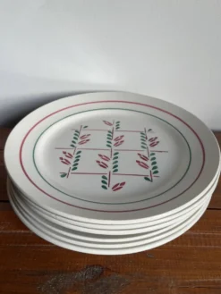 6 assiettes plates