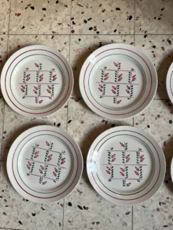 6 assiettes plates