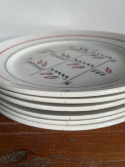 6 assiettes plates