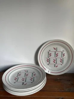 6 assiettes plates