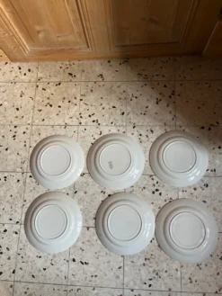 6 assiettes plates