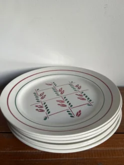 6 assiettes plates