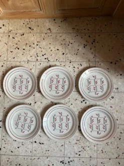 6 assiettes plates