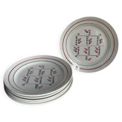 6 assiettes plates