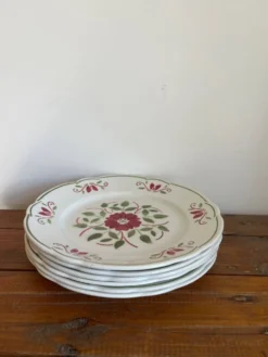 6 assiettes plates