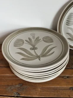 9 assiettes plates