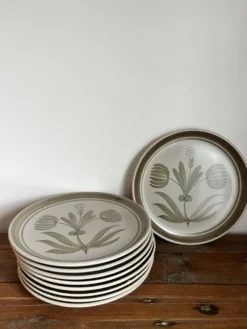 9 assiettes plates