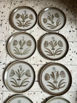 9 assiettes plates
