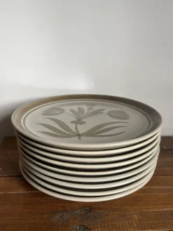 9 assiettes plates