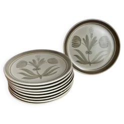 9 assiettes plates
