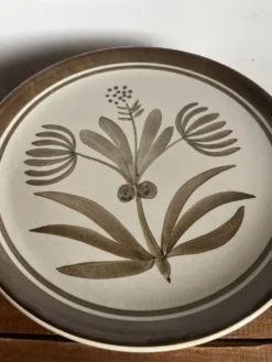 9 assiettes plates