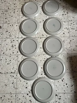 9 assiettes plates