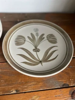9 assiettes plates