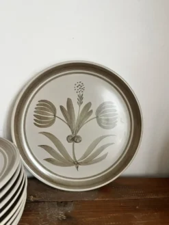 9 assiettes plates