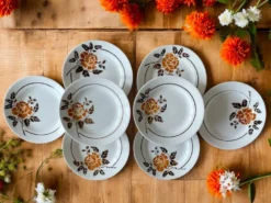 8 assiettes plates anciennes en faïence de Saint-Amand (Nord)