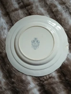 10 assiettes plates anciennes