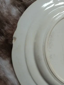 10 assiettes plates anciennes