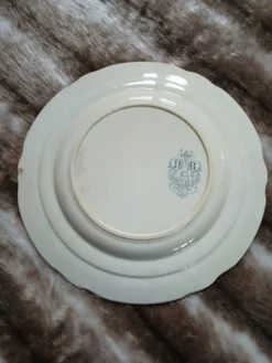 10 assiettes plates anciennes