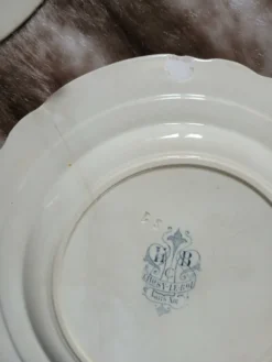 10 assiettes plates anciennes