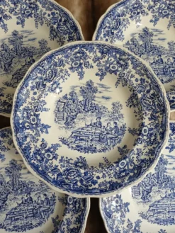 12 assiettes plates anciennes Lunéville KG