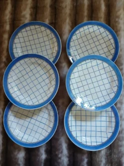 6 assiettes plates anciennes 