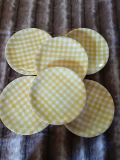 6 assiettes plates anciennes Salins