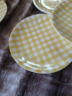 6 assiettes plates anciennes Salins