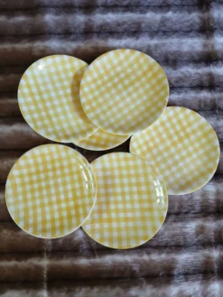 6 assiettes plates anciennes Salins