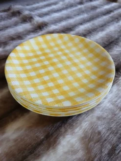 6 assiettes plates anciennes Salins