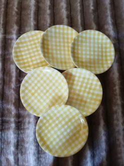 6 assiettes plates anciennes Salins