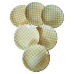 6 assiettes plates anciennes Salins