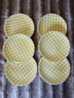 6 assiettes plates anciennes Salins